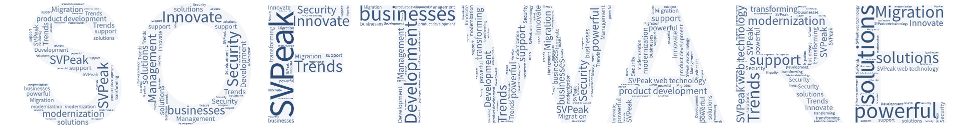 svpeak tamilnadu software development custom application